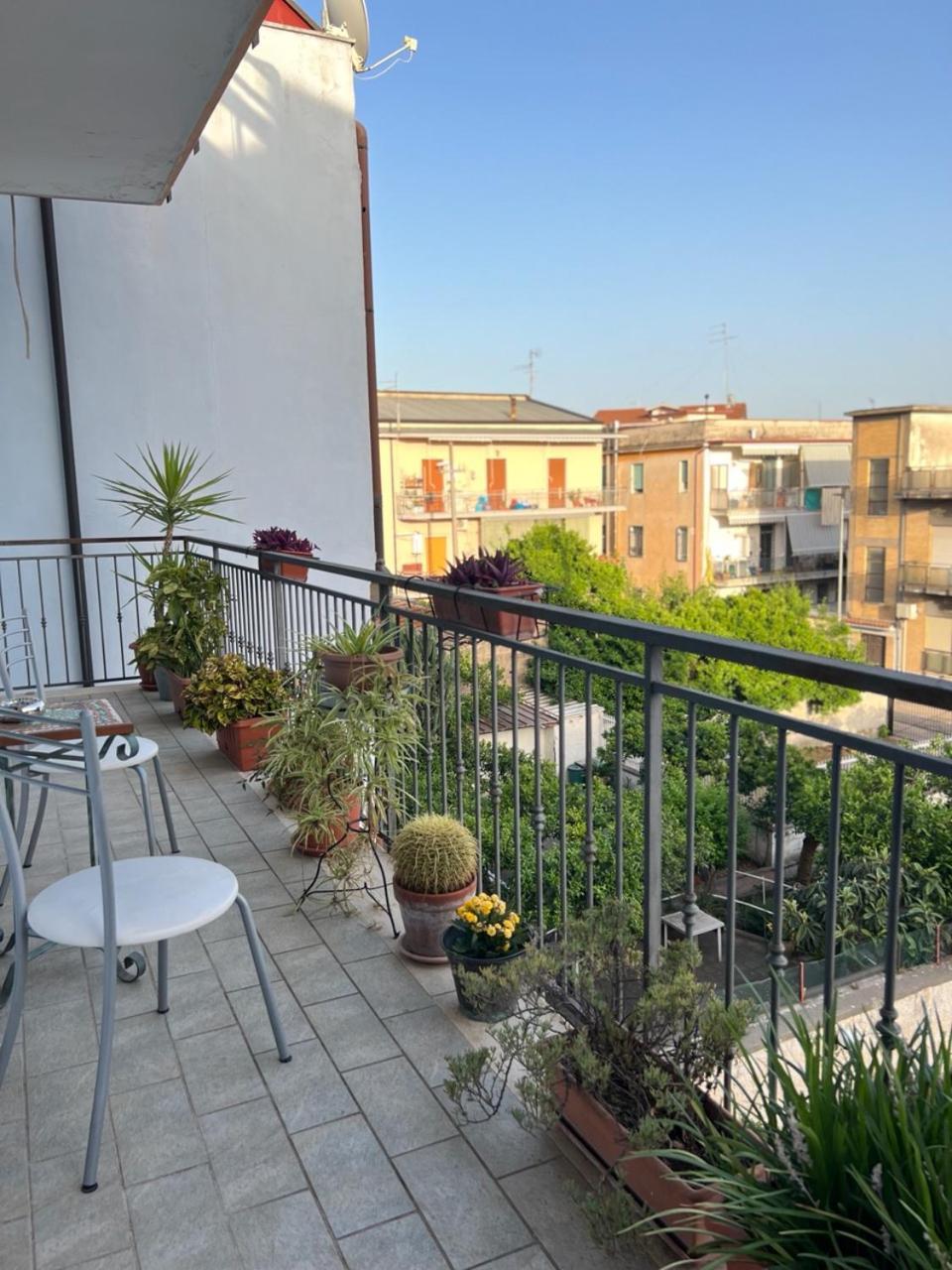לינה וארוחת בוקר קאסרטה Il Giardino Della Reggia מראה חיצוני תמונה